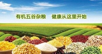 2016北京进口休闲食品展览会商业销售